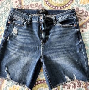 Judy Blue Raw Hem Shorts